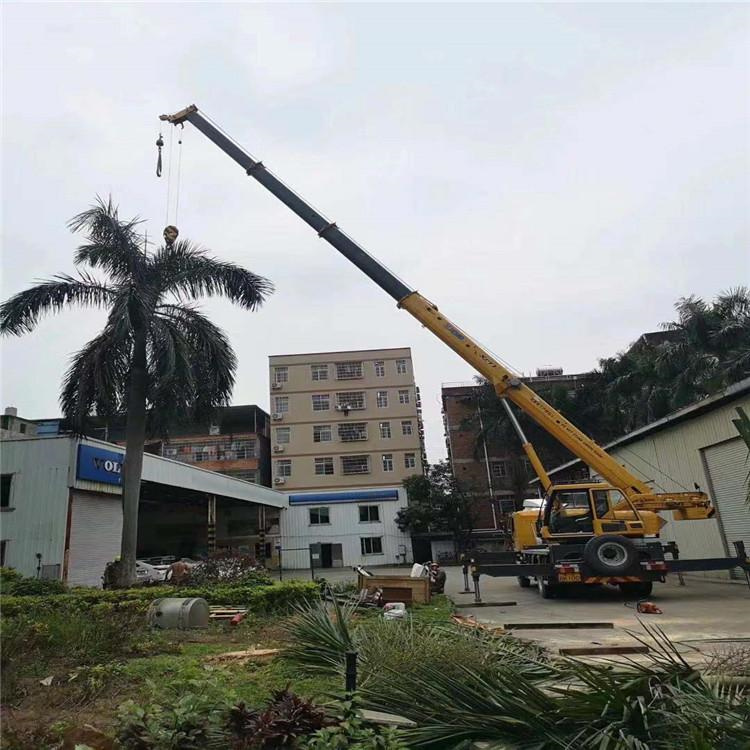 新沂汽车吊出租多少钱？全面解析与市场行情